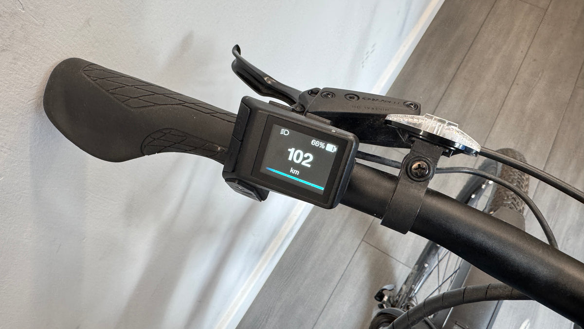 Giant Liv Rove E+ SMALL Blue Ashes Hybrid Ebike Electric Bike Acid Mudguards Rear Carrier