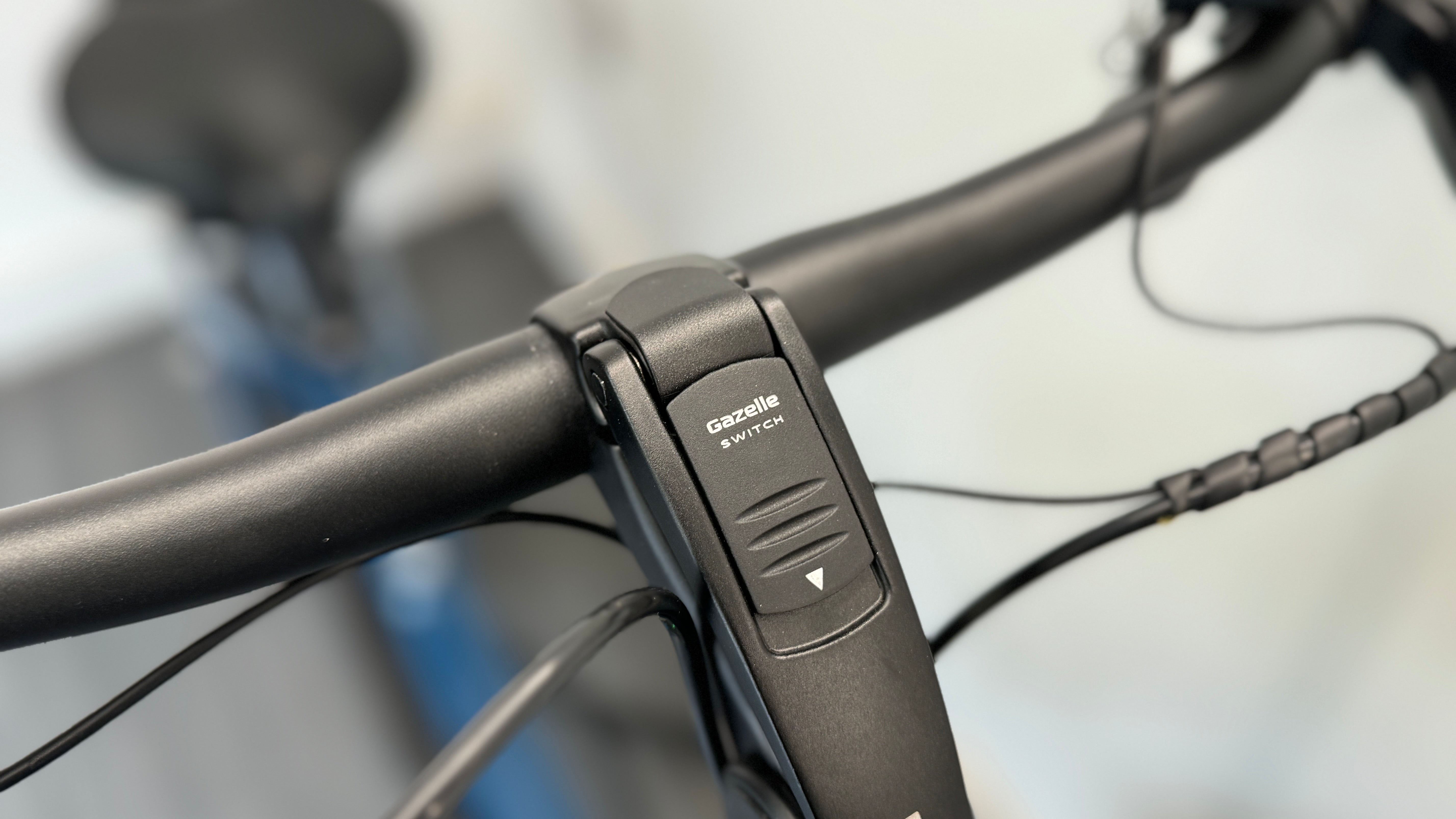 Gazelle Easyflow HMS Mallard Blue L46 Shimano Steps 630 Bike step through Nexus