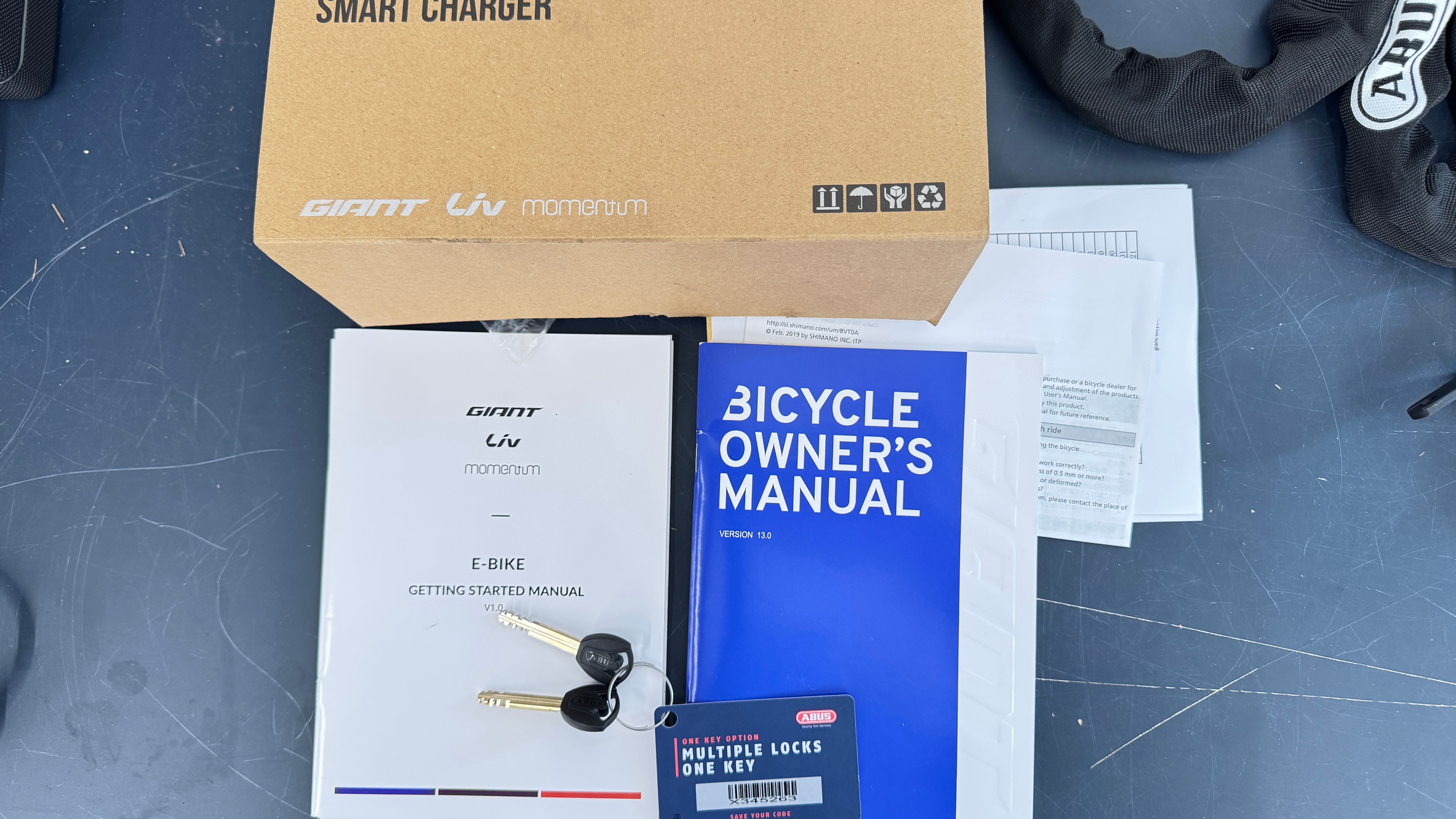 Giant Explore E+ 0 DD MEDIUM Electric Bike Enviolo Automatiq 800Wh battery Gates Carbon 116 miles Drive